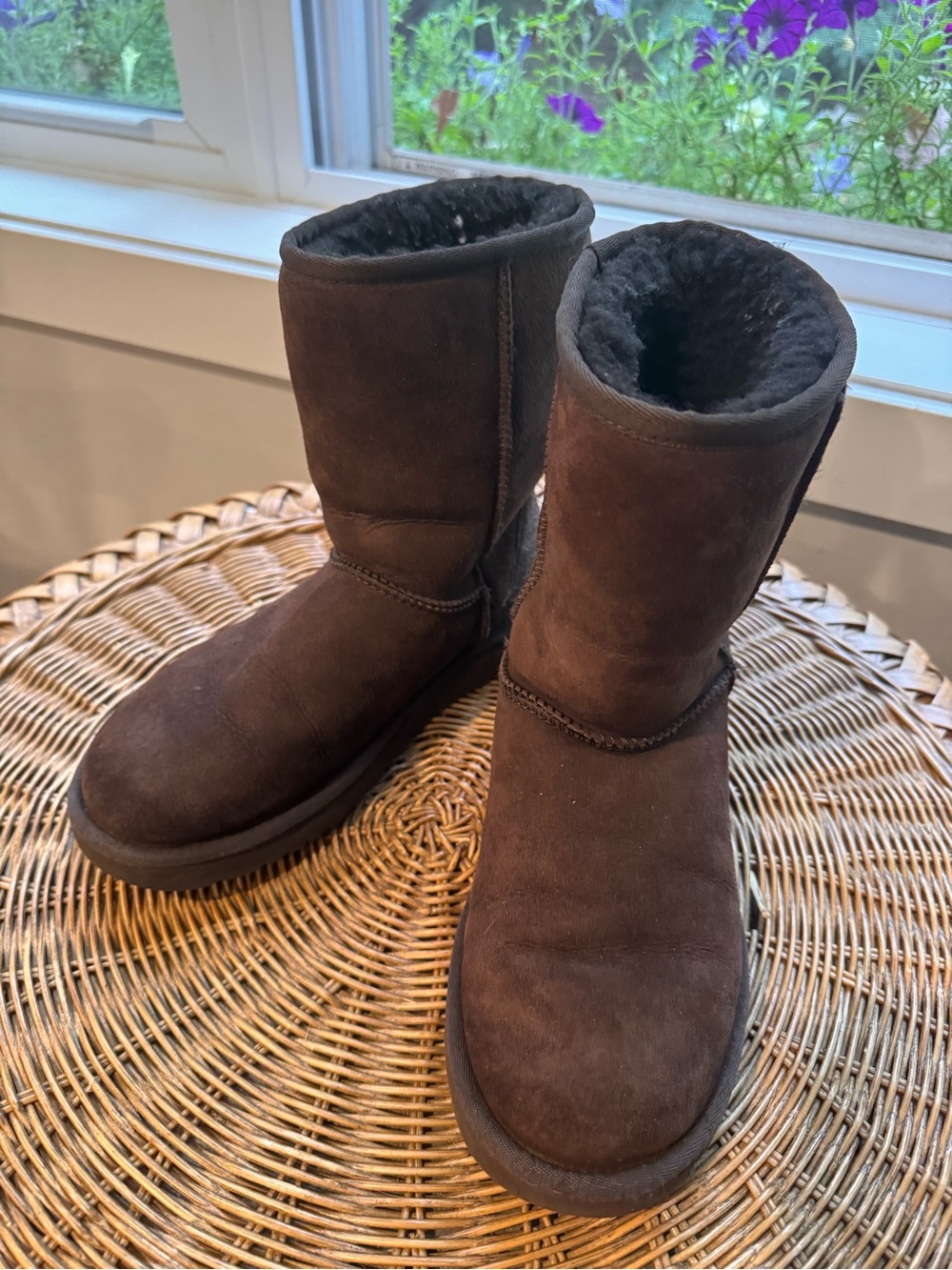 UGG Classic Short Boots in Chocolate Brown